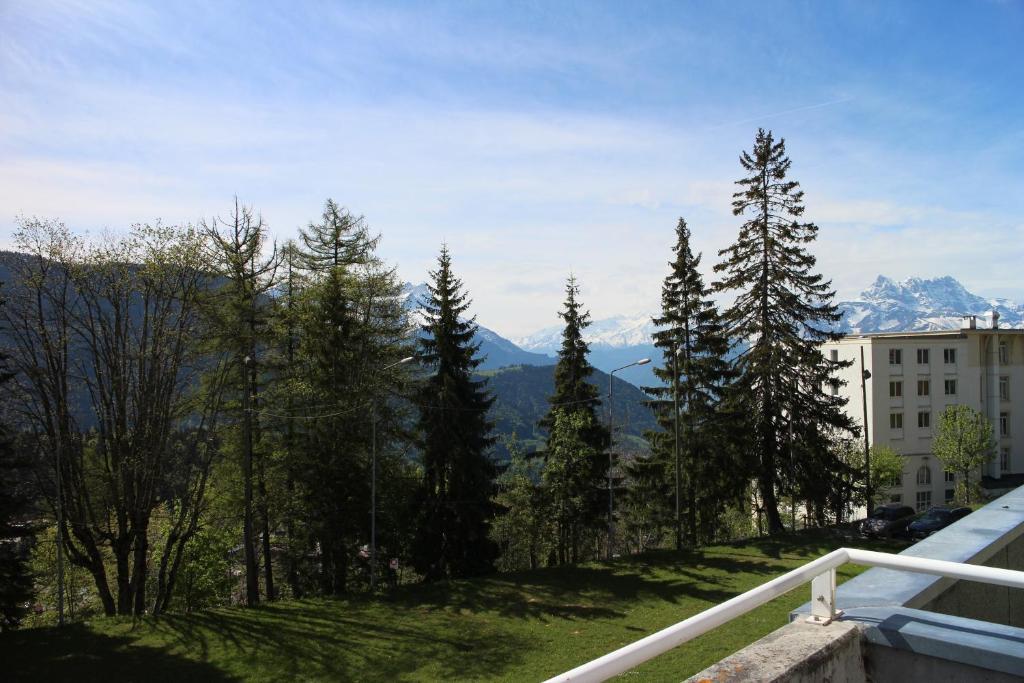 Residences Du Chamossaire Лейсен Номер фото